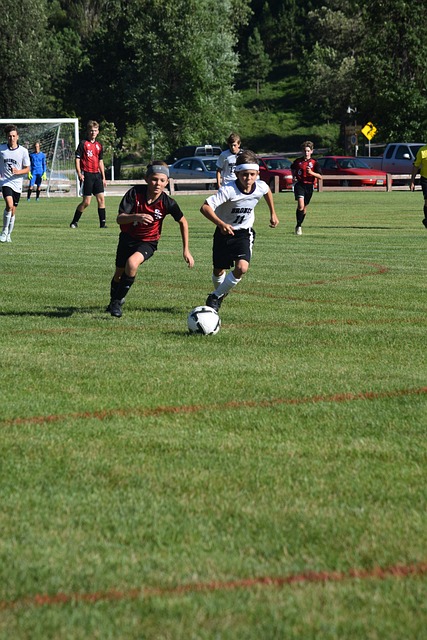 模的国内外 模的国内外