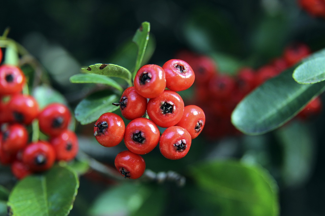 再也没能回 再也没能回