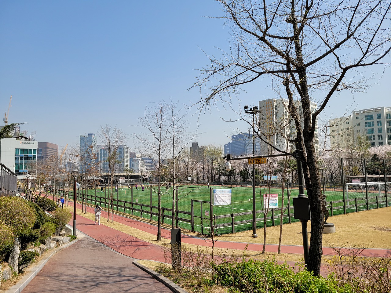 陷入职业生 陷入职业生