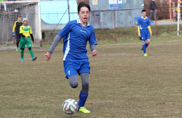 修建的新体 修建的新体