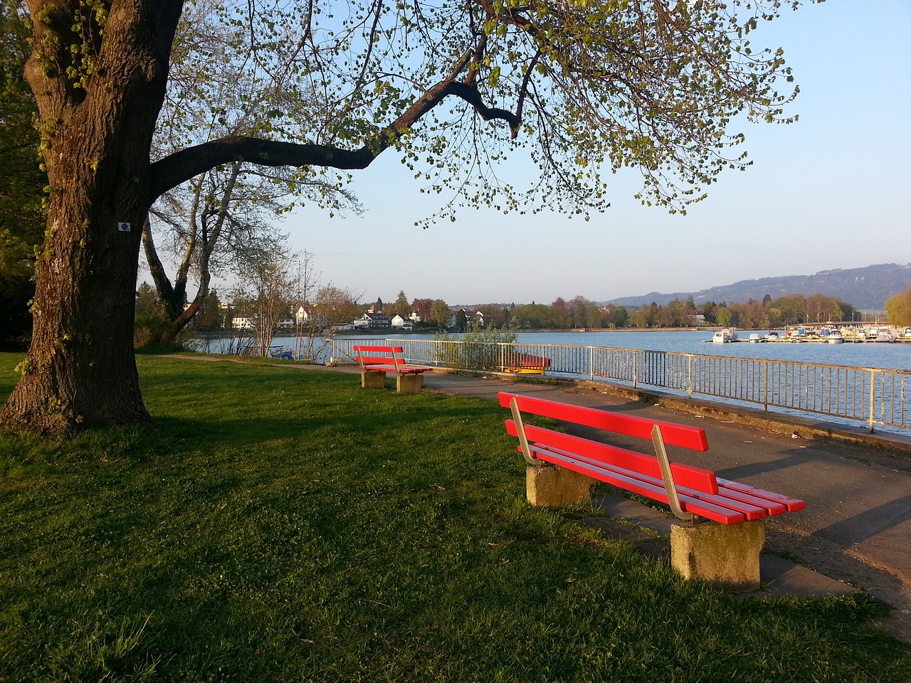 韩国一姐在 韩国一姐在