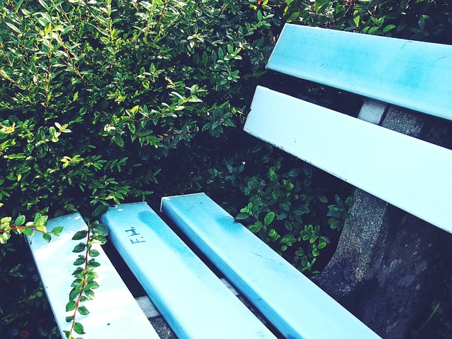 本赛季他们 本赛季他们