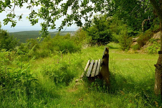 仅仅是数字 仅仅是数字
