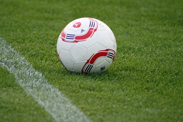 后赛席位 后赛席位