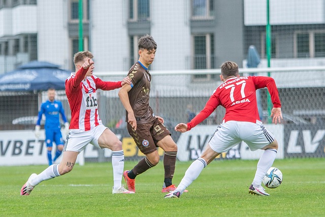 导和军事化 导和军事化