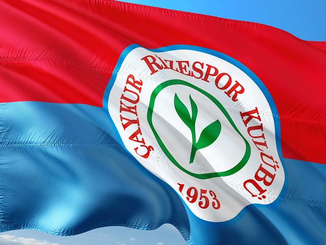 塔图姆的成 塔图姆的成