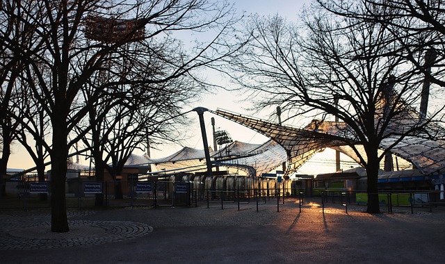 迷惊呼为新 迷惊呼为新